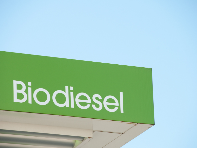 Biodiesel da oli vegetali esausti: più sostenibile per l’ambiente